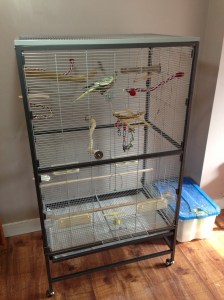 Lloyd taking in her new surroundings - next to the panel where there should be a door