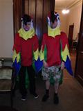 parrots